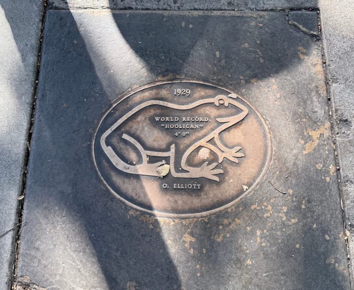 Hooligan - 1929, frog plaque, Angels Camp