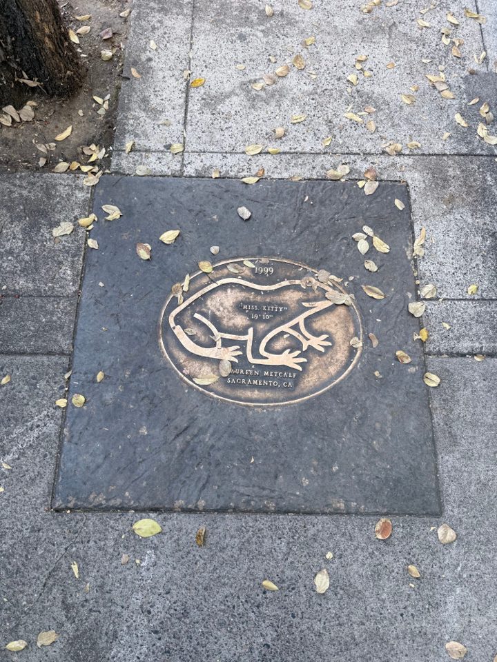 Miss Kitty - 1999, frog plaque, Angels Camp