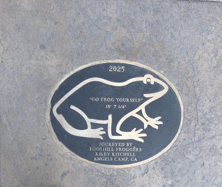 Go Frog Yourself - 2025, frog plaque, Angels Camp